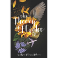 The Theory of Flight - Paperback