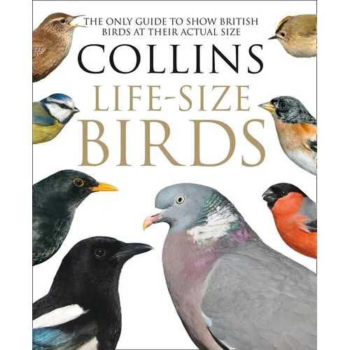 Collins Life-Size Birds: The Only Guide to Show British Birds at Their Actual Size - Hardcover