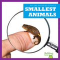 Smallest Animals - Paperback