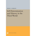 Self-Determination and History in the Third World - Paperback