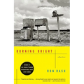 Burning Bright: Stories - Paperback