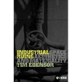 Industrial Ruins: Space, Aesthetics and Materiality - Paperback