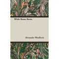 While Rome Burns - Paperback