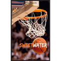 Sweetwater: A Biography of Nathaniel "Sweetwater" Clifton - Paperback