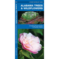Alabama Trees & Wildflowers: A Folding Pocket Guide to Familiar Plants - Paperback