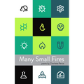 Many Small Fires - Paperback