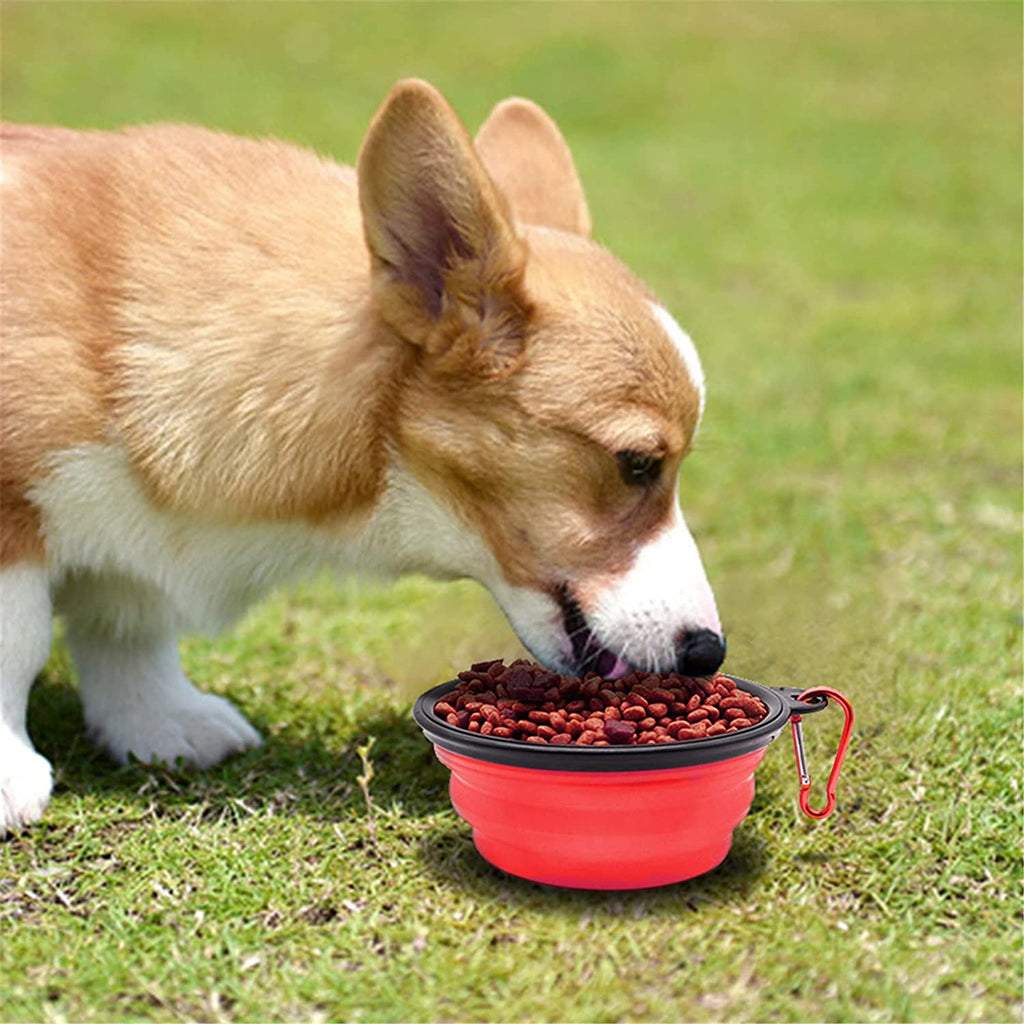 5" Portable and Foldable Small Dog Bowl-Red set of 5