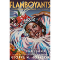 Flamboyants: The Queer Harlem Renaissance I Wish I'd Known - Hardcover