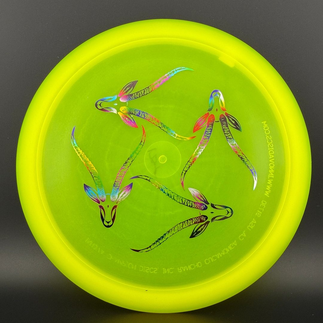 Champion Gazelle - Artist's Corner