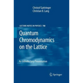 Quantum Chromodynamics on the Lattice: An Introductory Presentation - Paperback