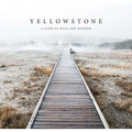 Yellowstone: A Land of Wild and Wonder - Hardcover