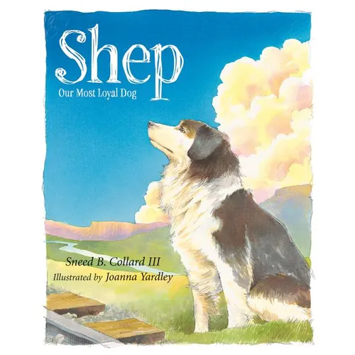 Shep: Our Most Loyal Dog - Hardcover