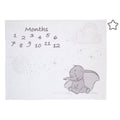 Disney Dumbo White and Grey Super Soft Milestone Baby Blanket