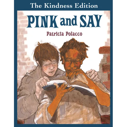 Pink and Say - Hardcover