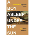 A Boy Asleep Under the Sun: Versions of Sandro Penna - Paperback