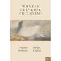 What Is Cultural Criticism? - Paperback