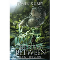 The Realm Between: The Curse: (Book 1) - Paperback