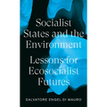 Socialist States and the Environment: Lessons for Eco-Socialist Futures - Paperback