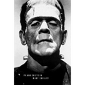 Frankenstein: (Special Edition) - Paperback