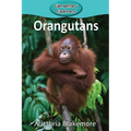 Orangutans - Paperback