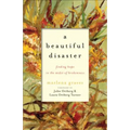 A Beautiful Disaster: Finding Hope in the Midst of Brokenness - Paperback