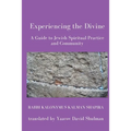 Experiencing the Divine - Paperback