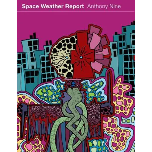 Space Weather Report - Paperback