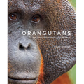 Orangutans: Their History, Natural History and Conservation - Hardcover