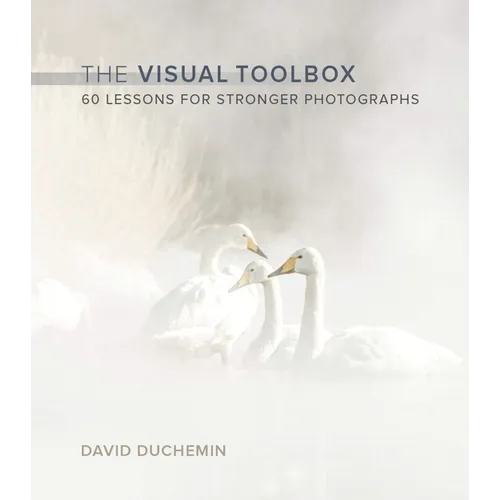 The Visual Toolbox: 60 Lessons for Stronger Photographs - Paperback
