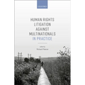 Human Rights Litigation Against Multinationals in Practice - Hardcover
