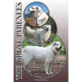 The Great Pyrenees: A Complete and Comprehensive Owners Guide To: Buying, Owning, Health, Grooming, Training, Obedience, Understanding and - Paperback