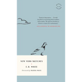 New York Sketches - Paperback