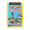 Everything You Should Know About: Pelicans Faster Learning Facts - Paperback