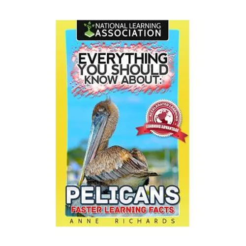 Everything You Should Know About: Pelicans Faster Learning Facts - Paperback