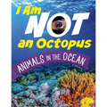 I Am Not an Octopus: Animals in the Ocean - Hardcover