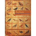 Asylum - Paperback