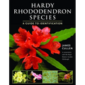 Hardy Rhododendron Species: A Guide to Identification - Paperback