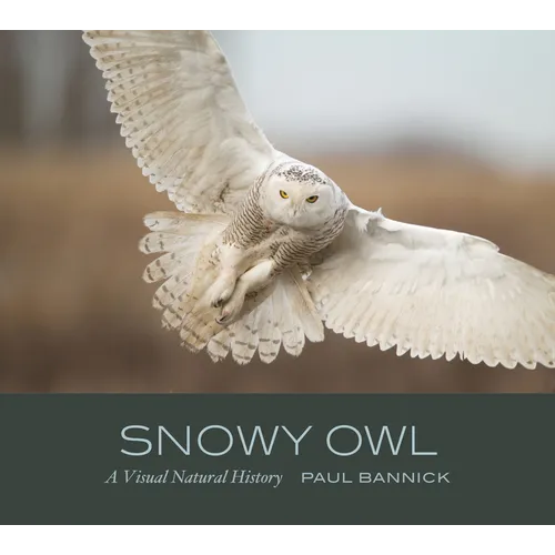 Snowy Owl: A Visual Natural History - Hardcover