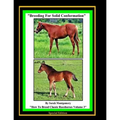 Breeding For Solid Conformation - Paperback