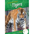 Tigers - Library Binding