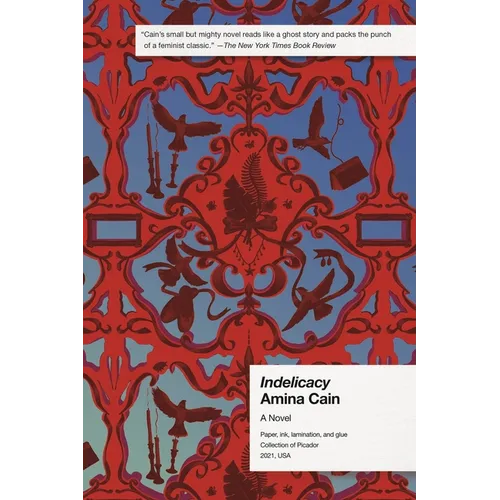 Indelicacy - Paperback