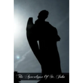 The Apocalypse Of St. John - Paperback
