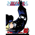 Bleach, Vol. 53: The Deathberry Returns 2 - Paperback