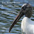 The Wood Stork: A Graceful Bird - Paperback
