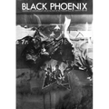 Black Phoenix: Third World Perspectives on Contemporary Art and Culture - Paperback