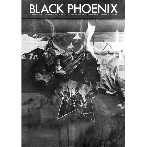 Black Phoenix: Third World Perspectives on Contemporary Art and Culture - Paperback