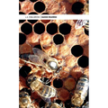 Queen Rearing - Paperback