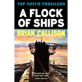 A Flock of Ships - Paperback