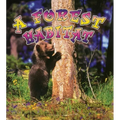 A Forest Habitat - Paperback