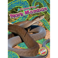 Black Mambas - Library Binding